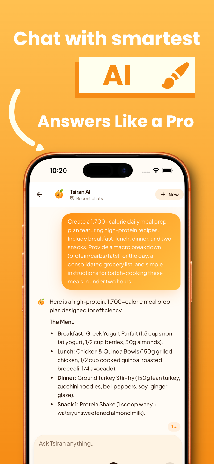 Chat with the smartest AI